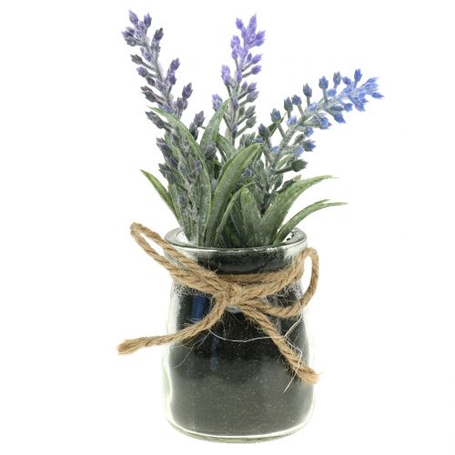 Lavendel i krukke H15cm