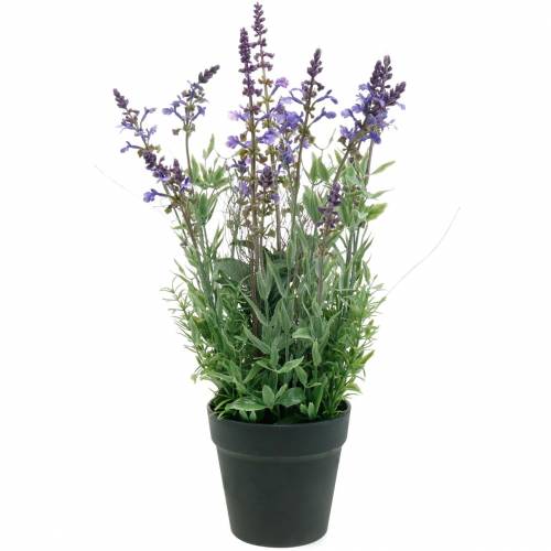Blomsterdekoration lavendel i en krukke med kunstige planter