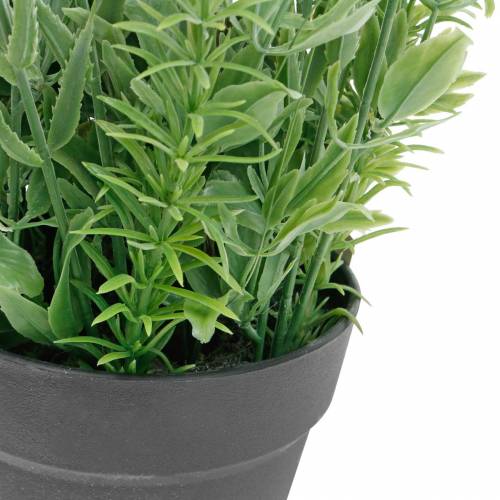 Artikel Blomsterdekoration lavendel i en krukke med kunstige planter