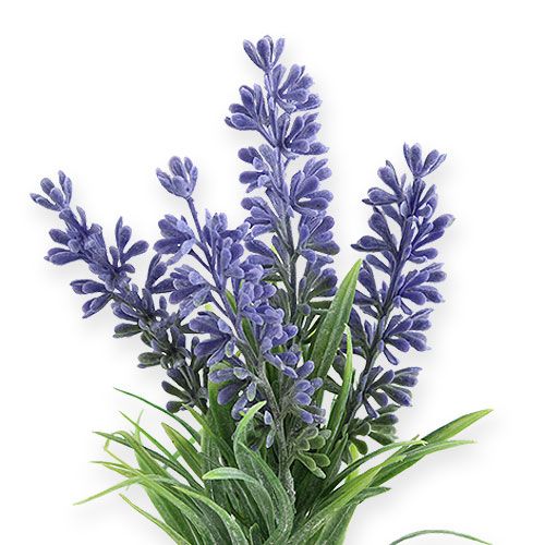 Floristik24 Lavendel kunstlilla 25cm