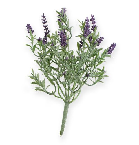 Floristik24 Dekorativ lavendelbusk 25 cm