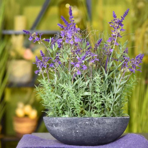 Floristik24 Lavendel skål kunstig lavendel silke blomster falske planter