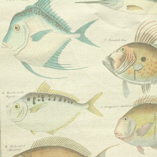 Floristik24 Deco rulle lavet af hør med fisk 60cm x 72cm