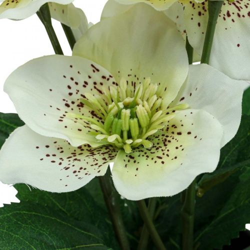 Artikel Fastelavnsrose Hellebore Julerosepotte kunstige blomster H25cm hvid