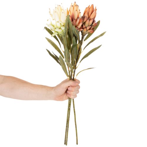 Kunstig Protea Leucadendron-blomst med lang stilk, 65 cm, 3 stk. | Floristik24.dk
