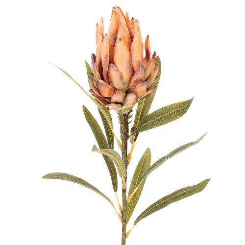Kunstig Protea Leucadendron-blomst med lang stilk, 65 cm, 3 stk. | Floristik24.dk