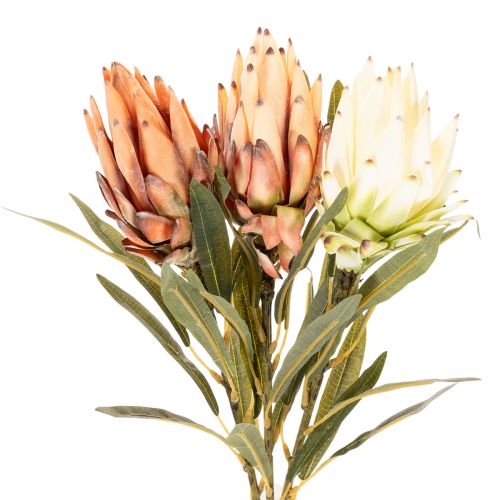 Kunstig Protea Leucadendron-blomst med lang stilk, 65 cm, 3 stk. | Floristik24.dk