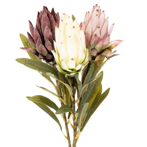 Protea kunstig blomst Leucadendron 100cm 3 stk købe | Floristik24.dk