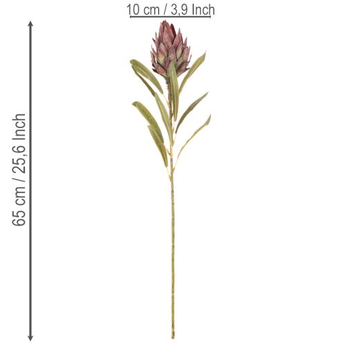 Protea kunstig blomst Leucadendron 100cm 3 stk | Floristik24.dk