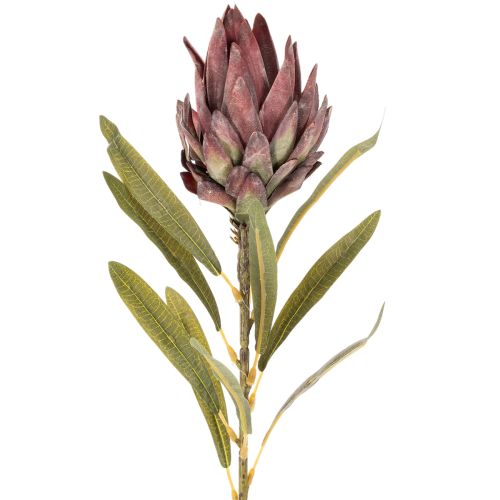 Protea kunstig blomst Leucadendron 100cm 3 stk | Floristik24.dk