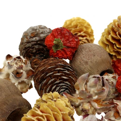Floristik24 Eksotisk blanding af tørrede frugter og kegler naturlige 500g