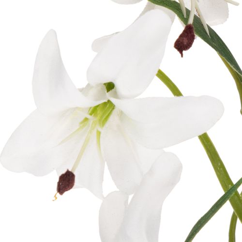  | Floristik24.dk