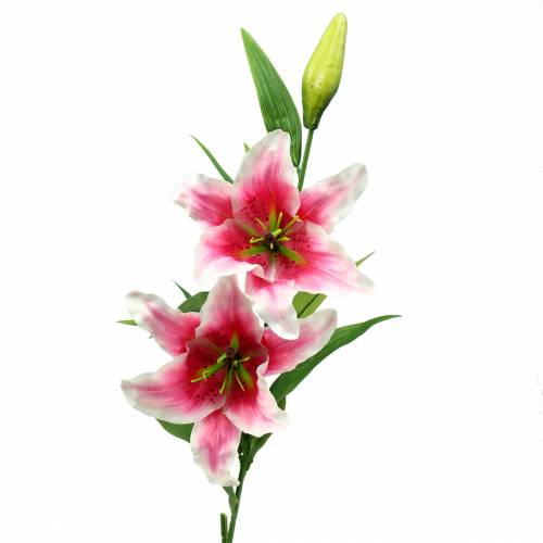 Floristik24 Orientalsk Lily "Stargazer" Hvid, Pink 86cm
