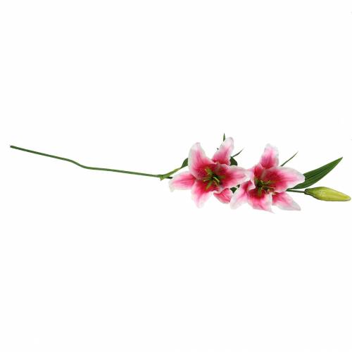 Floristik24 Orientalsk Lily "Stargazer" Hvid, Pink 86cm