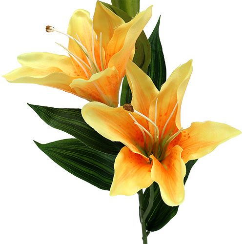 Floristik24 Kunstig lilje orange L66cm 1p