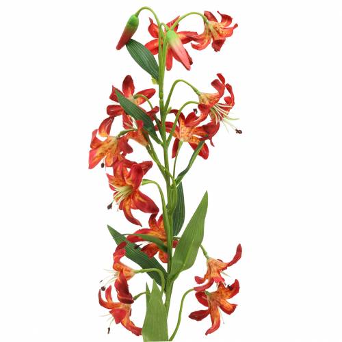 Floristik24 Lily orange 82cm