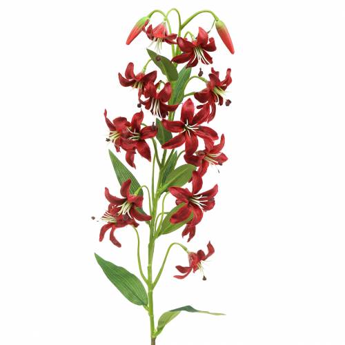Floristik24 Lily rød 82 cm