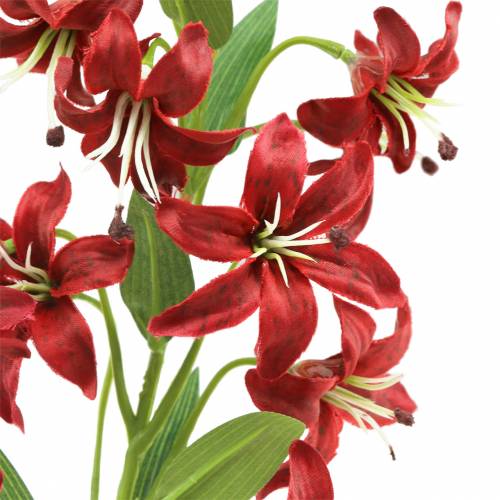 Floristik24 Lily rød 82 cm