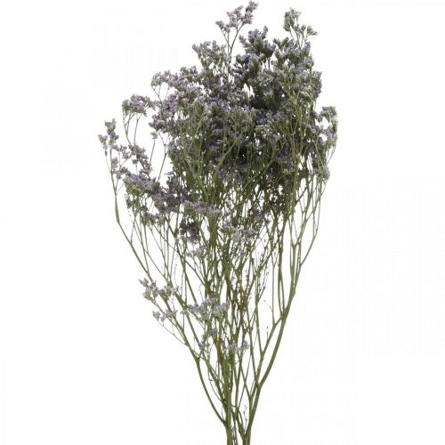 Floristik24 Tørre blomster, Havlavendel, Statice Tatarica, Havlavendel, Limonium Violet L45–50cm 30g