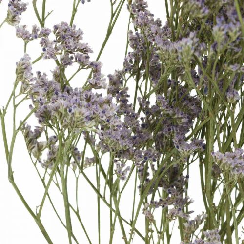 Artikel Tørre blomster, Havlavendel, Statice Tatarica, Havlavendel, Limonium Violet L45–50cm 30g