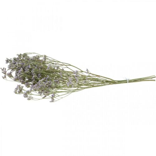 Artikel Tørre blomster, Havlavendel, Statice Tatarica, Havlavendel, Limonium Violet L45–50cm 30g