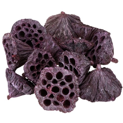 Artikel Lotus kapsler, tør blomster, lotus pære pink, hvidvasket 50 stk.