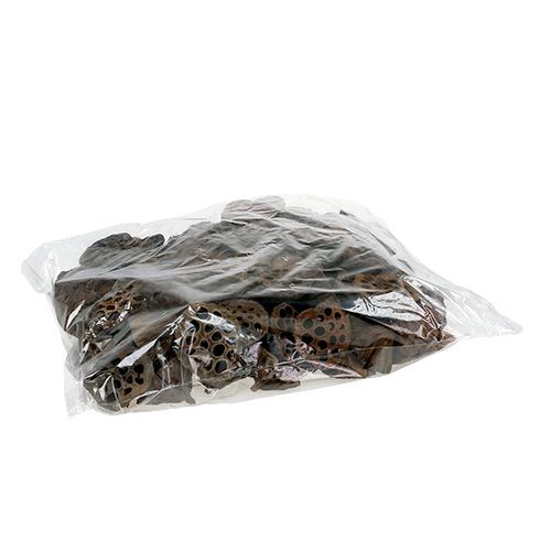 Artikel Lotus kolbe medium 100 stk naturlig