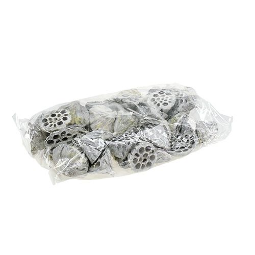 Artikel Lotus Natural Deco Lotus Pære Hvid Vasket 6-8cm 50 stk