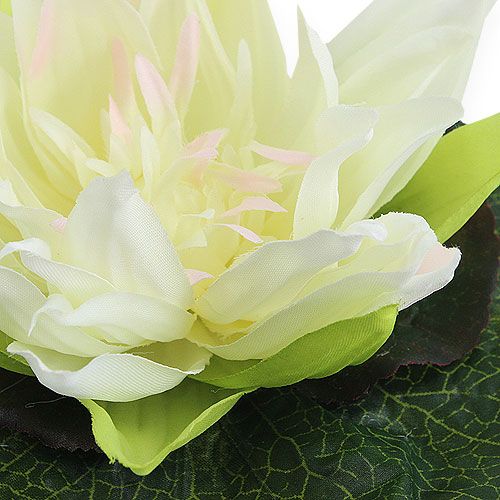 Floristik24 Lotusblomst flydende 18cm hvid 3stk