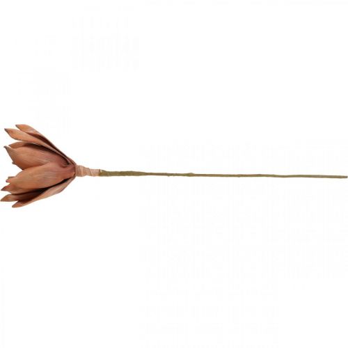 Floristik24 Lotusblomst Kunstig Plante Kunstig Lotusblomst Brun L64cm