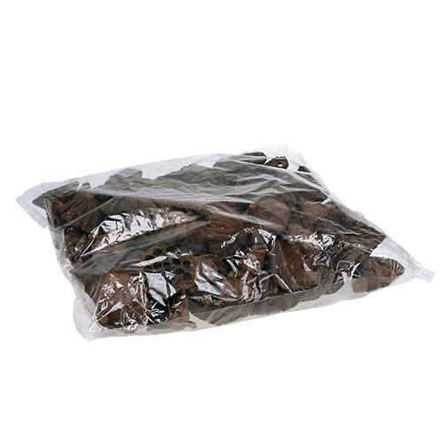 Artikel Lotus kolbe stor 100 stk naturel