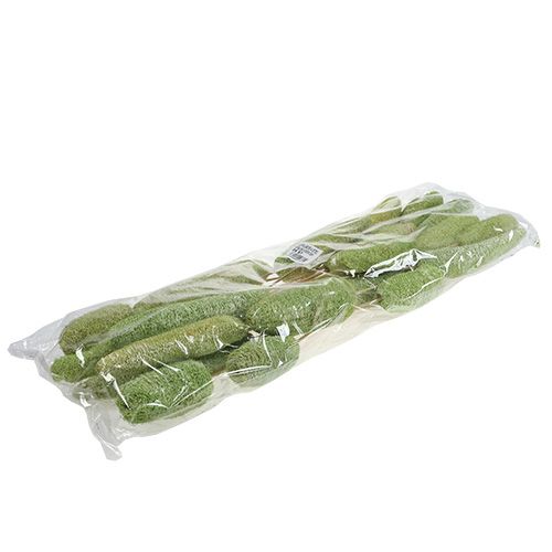 Artikel Luffa stor på pind grøn 25 stk