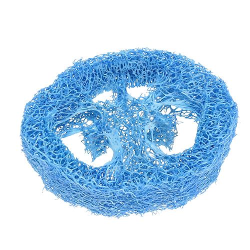 Floristik24 Loofah skiver himmelblå 25 stk