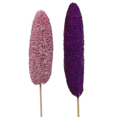 Loofah på pind stor pink, lyng 8cm - 30cm 25p