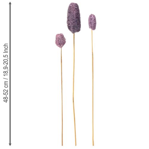 Artikel Luffa på stilk små tørrede dekorative bær 5-12 cm 25 stk