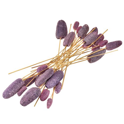 Artikel Luffa på stilk små tørrede dekorative bær 5-12 cm 25 stk