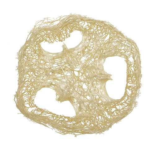 Floristik24 Luffa skiver bleget Ø5cm 48 stk