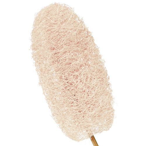 Artikel Lille loofah på pind bleget 25 stk
