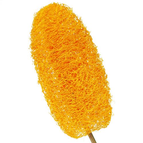 Artikel Lille loofah på pind, gylden gul, 25 stk