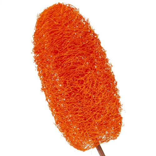Artikel Luffa lille på pind appelsin 25 stk