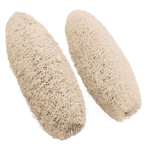 Luffa stor bleget 20 stk