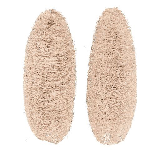 Artikel Luffa stor bleget 20 stk