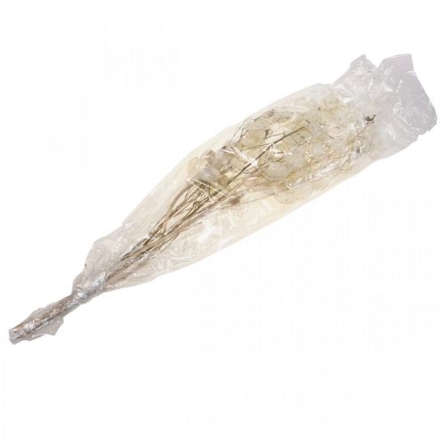 Artikel Lunaria tørrede blomster måneviolet sølvblad tørret 60-80cm 30g