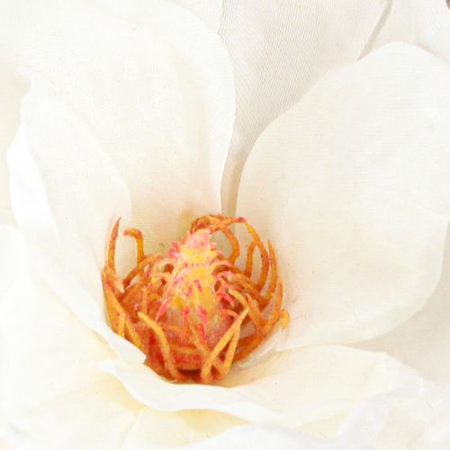 Artikel Magnolia Hvide Kunstige Blomsterknopper Dekorationsgren H40cm 2stk