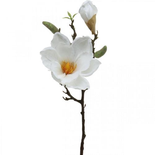 Artikel Magnolia hvid kunstig blomst med knopper på dekorativ gren H40cm
