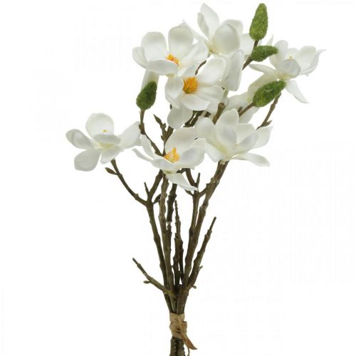 Floristik24 Kunstige magnoliagrene hvid deco gren H40cm 4 stk i bundt