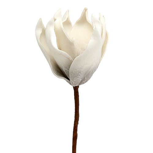 Floristik24 Magnolia blomstre lavet af skumgrå, hvid Ø10cm L26cm 4stk