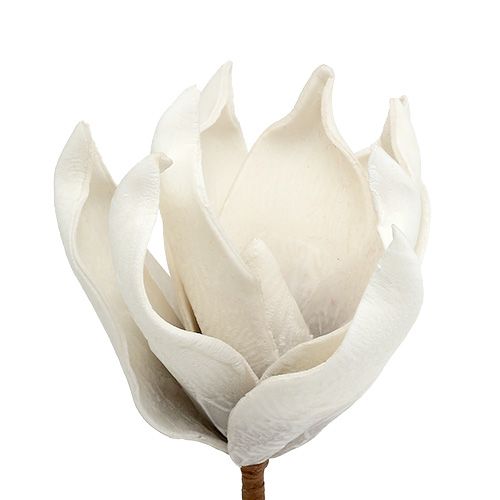 Floristik24 Magnolia blomstre lavet af skumgrå, hvid Ø10cm L26cm 4stk