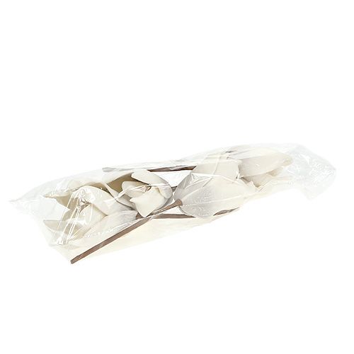 Floristik24 Magnolia blomstre lavet af skumgrå, hvid Ø10cm L26cm 4stk