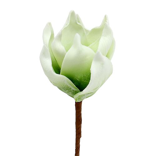 Floristik24 Magnolia blomstre lavet af skummateriale hvidgrøn Ø10cm L26cm 4stk